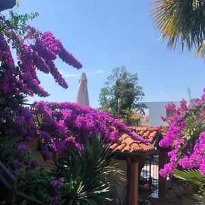 Appartement Ana